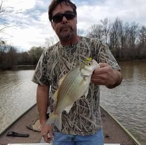 Meet your Posher, Barry